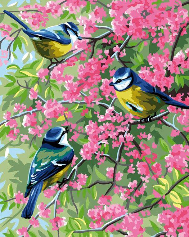 Весенние синички - рай, весна, синички, цветы, синицы, птицы, птички, цветение, сад - оригинал