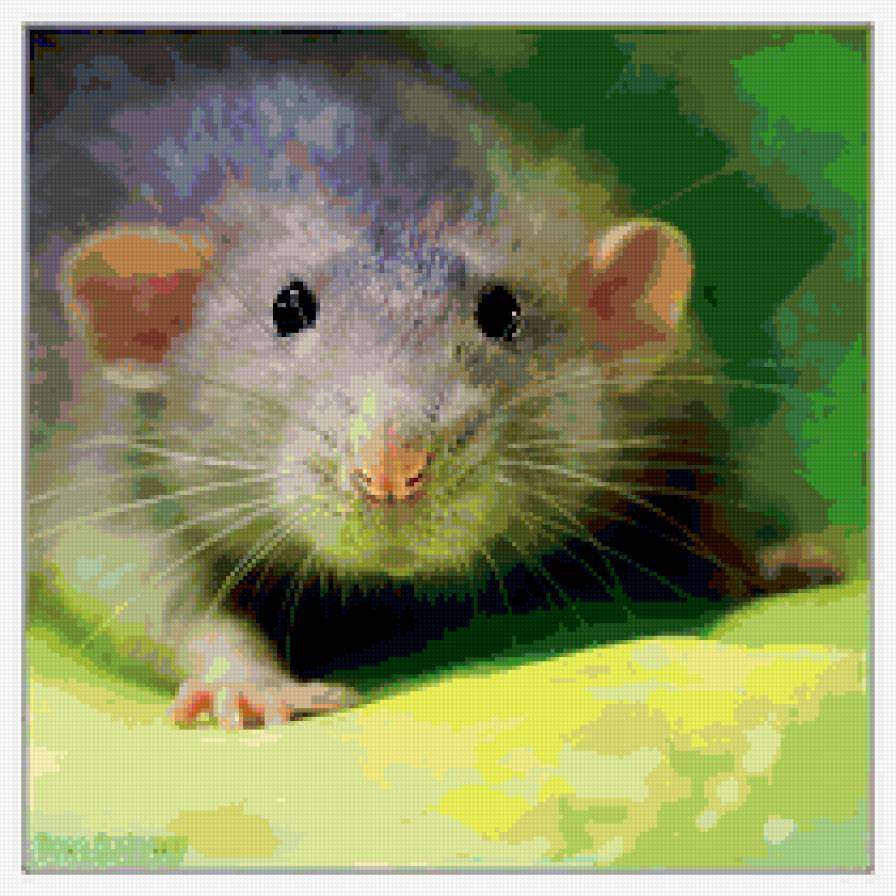 Няшка - крыса мышка милашка - предпросмотр
