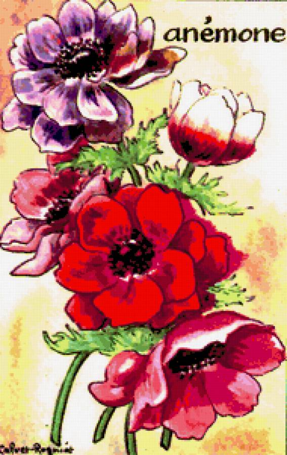 Анемоны - анемон, букет, ретро, панно, цветы, анемоны, цветочки - предпросмотр