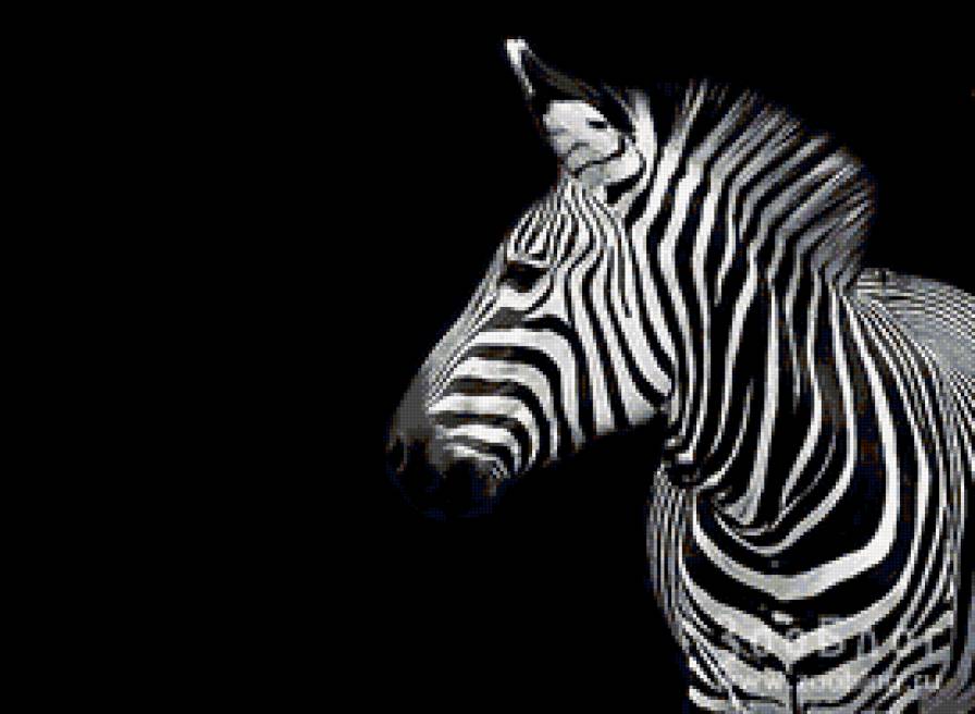 Зебра Original - животные - предпросмотр