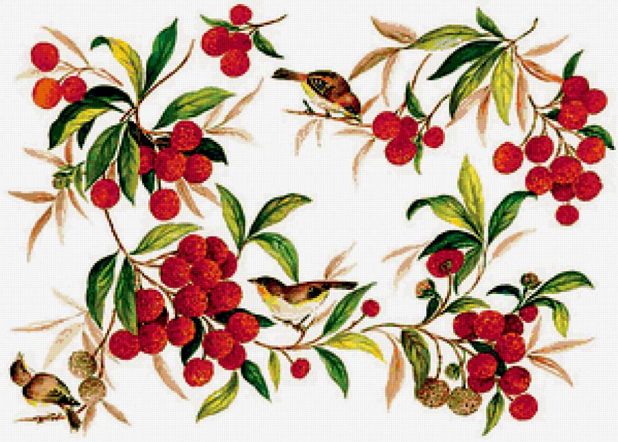 Птички и ягоды - птицы, ягоды - предпросмотр
