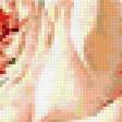 Предпросмотр схемы вышивки «Розы для подушки» (№300146)
