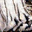 Предпросмотр схемы вышивки «Белый тигр» (№300482)