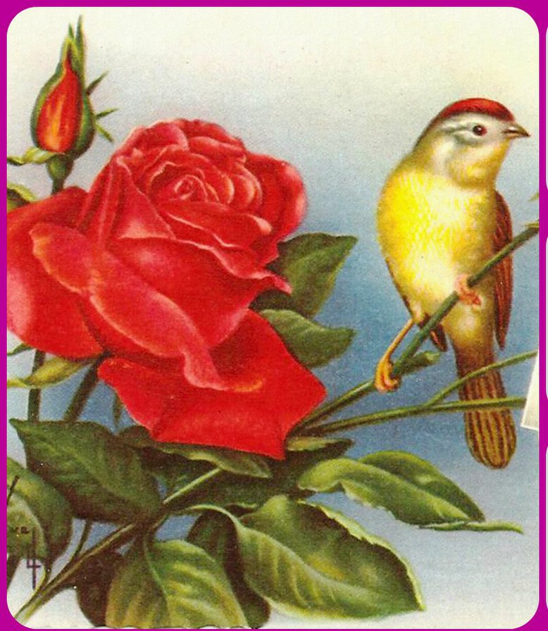 роза и птица - оригинал