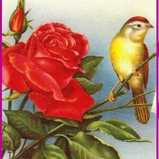 Схема вышивки «роза и птица»