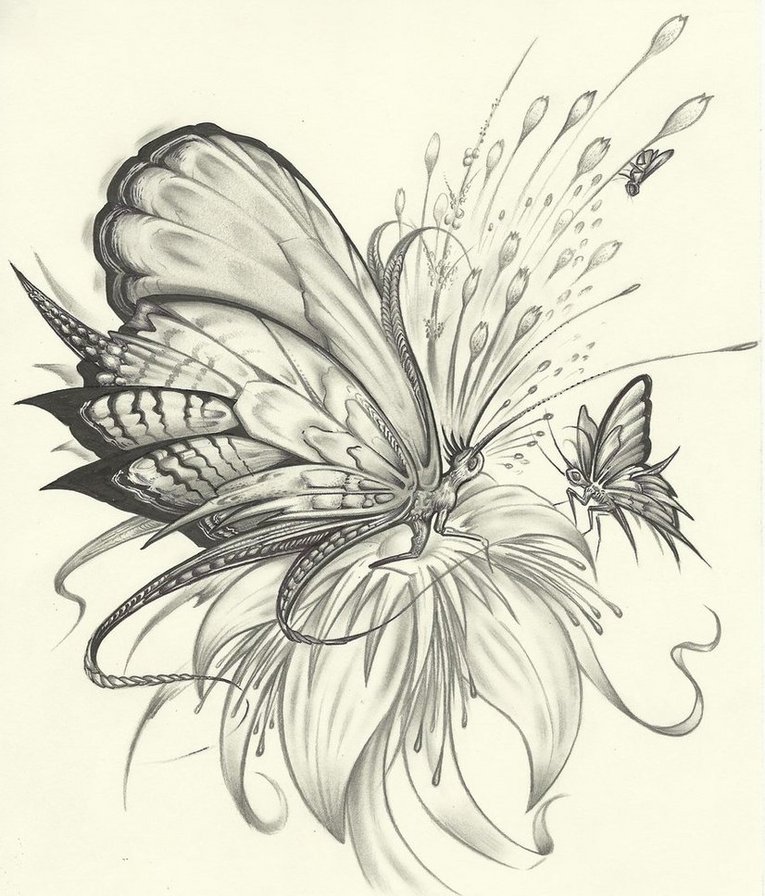 Бабочка - мотылек, бабочка, цветок - оригинал