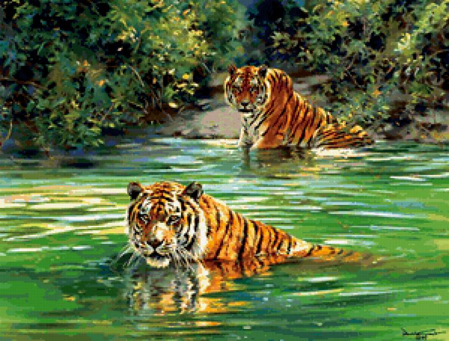 Тигры - тигры - предпросмотр