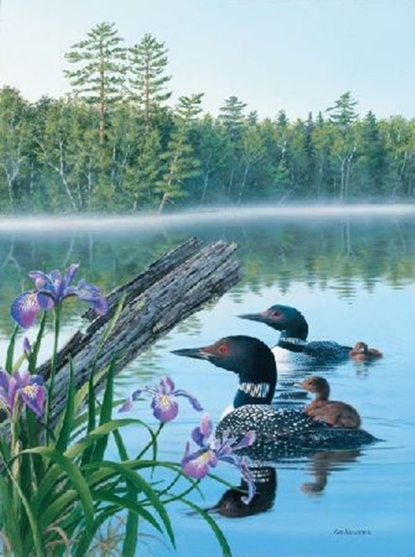 0080 - вода, птицы, лето, красота, природа, утки, картина, лес - оригинал