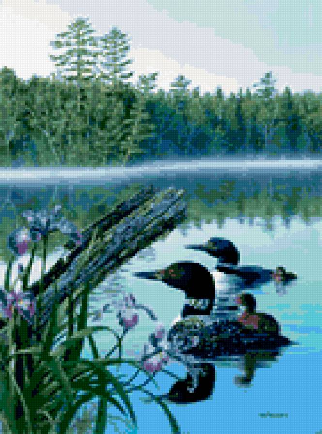 0080 - картина, птицы, вода, природа, утки, лес, красота, лето - предпросмотр