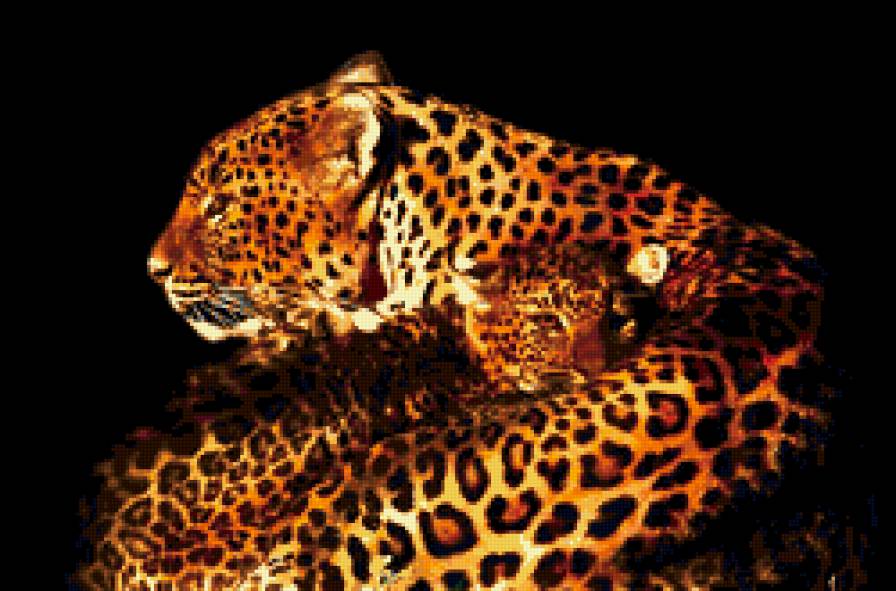 Леопарды - животные - предпросмотр