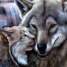 волк и рысь
