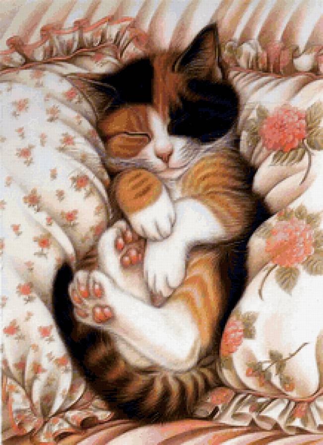 сладкие сны - домашние животные, котенок, кошка - предпросмотр