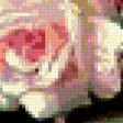 Предпросмотр схемы вышивки «розы» (№301794)