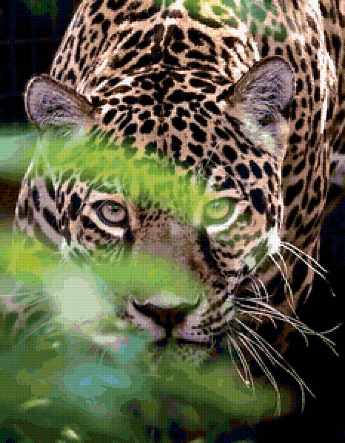 леопард - хищники, кошки, животные, лео - предпросмотр