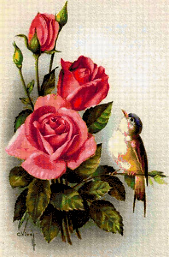 Цветы и птички - винтаж, птица, флора, цветы, птицы, розочки, ретро, розы, птичка - предпросмотр