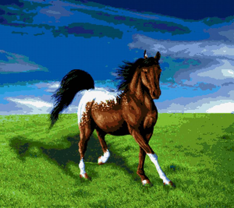 Лошадь в поле - предпросмотр