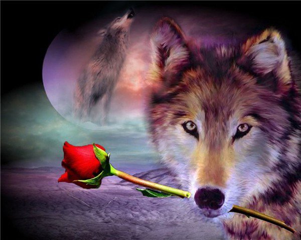Волк - волк, роза, картина - оригинал