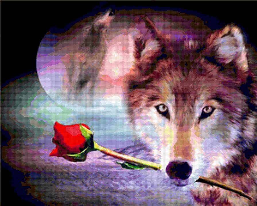Волк - роза, волк, картина - предпросмотр
