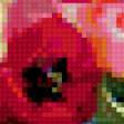 Предпросмотр схемы вышивки «полевые цветы» (№302632)