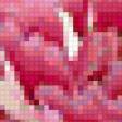 Предпросмотр схемы вышивки «розовые пионы» (№302659)