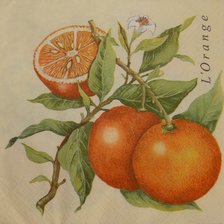 Оригинал схемы вышивки «апельсин» (№302687)