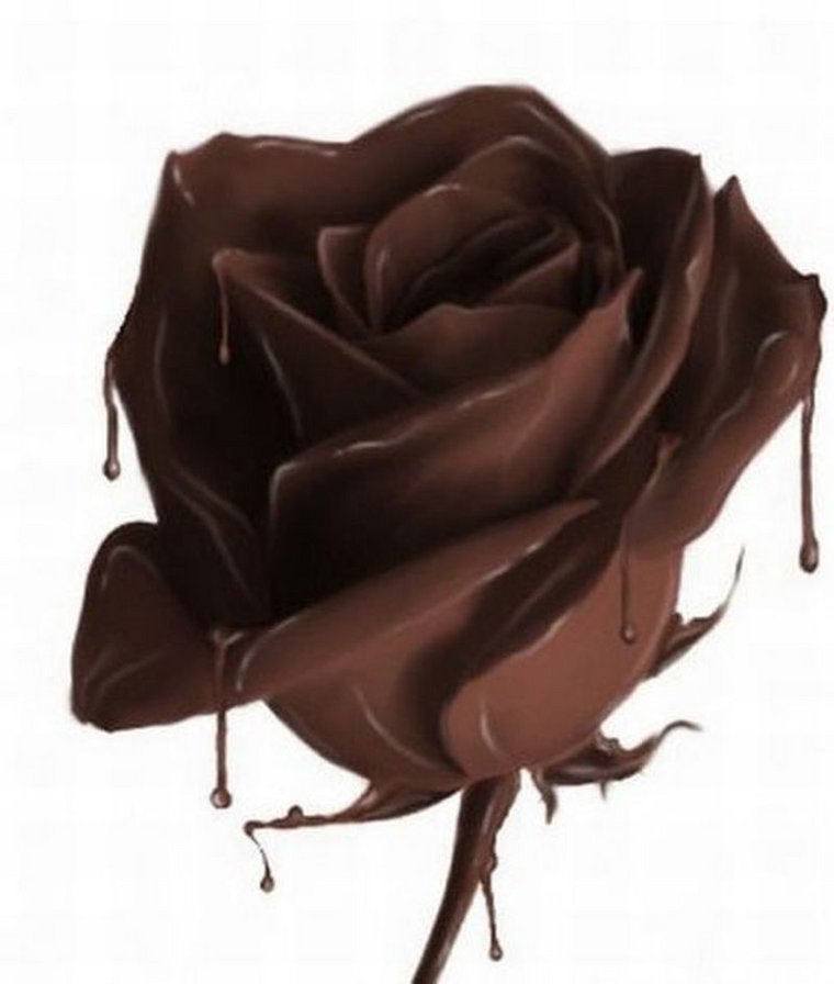 шоколодная роза - цветы, шоколад - оригинал