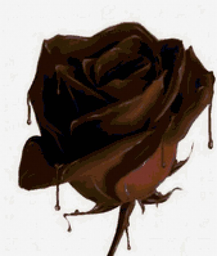 шоколодная роза - цветы, шоколад - предпросмотр