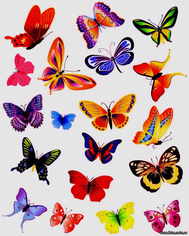 бабочки - узор, орнамент, цветы, подушка, бабочки - оригинал