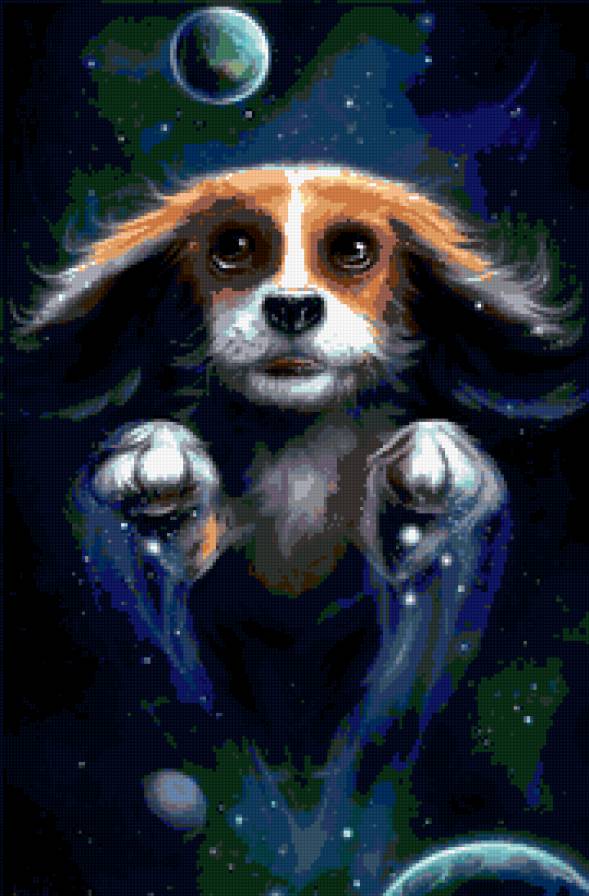 космическая собака - собака - предпросмотр