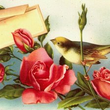 Оригинал схемы вышивки «птица и розы» (№303881)