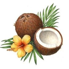 Оригинал схемы вышивки «кокос» (№304349)
