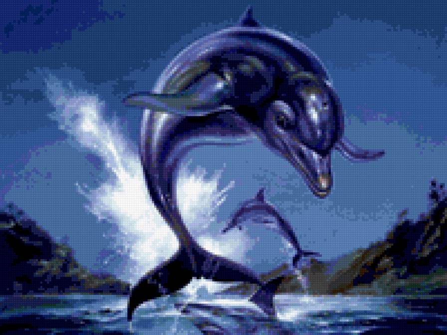 дельфин - дельфин - предпросмотр
