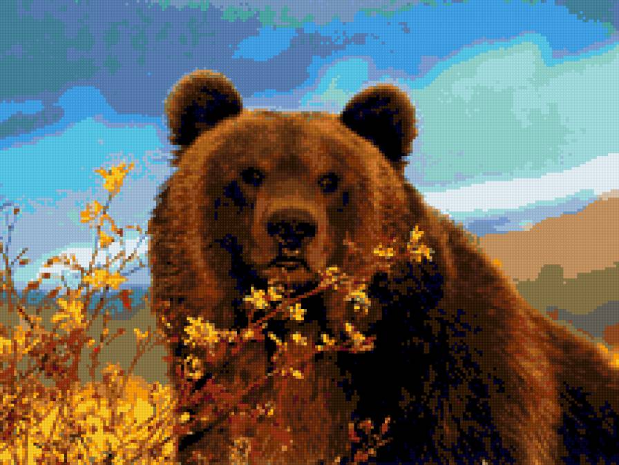 медведь 6 - предпросмотр