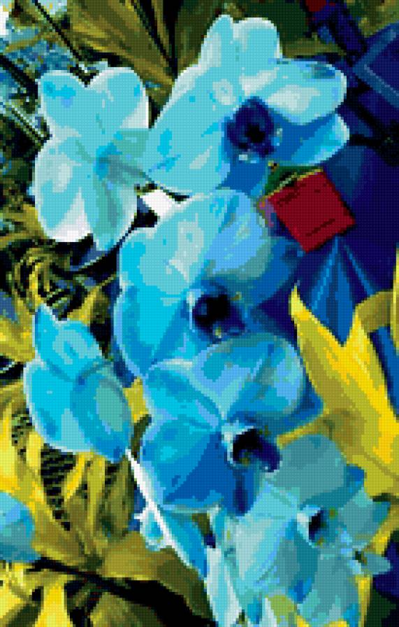 Синие орхидеи - орхидеи - предпросмотр