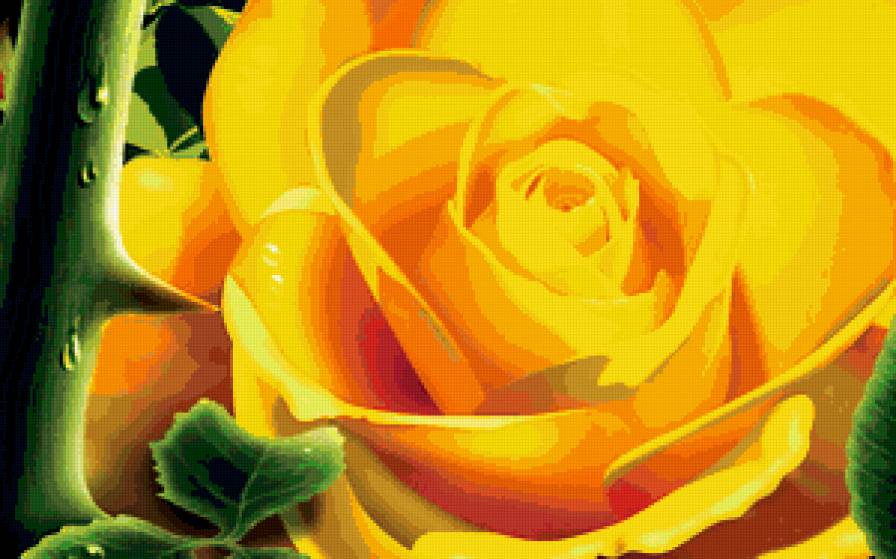 прекрасная роза - желтая роза, цветы, роза, цветок - предпросмотр