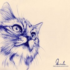 Котенок (рисунок ручкой)