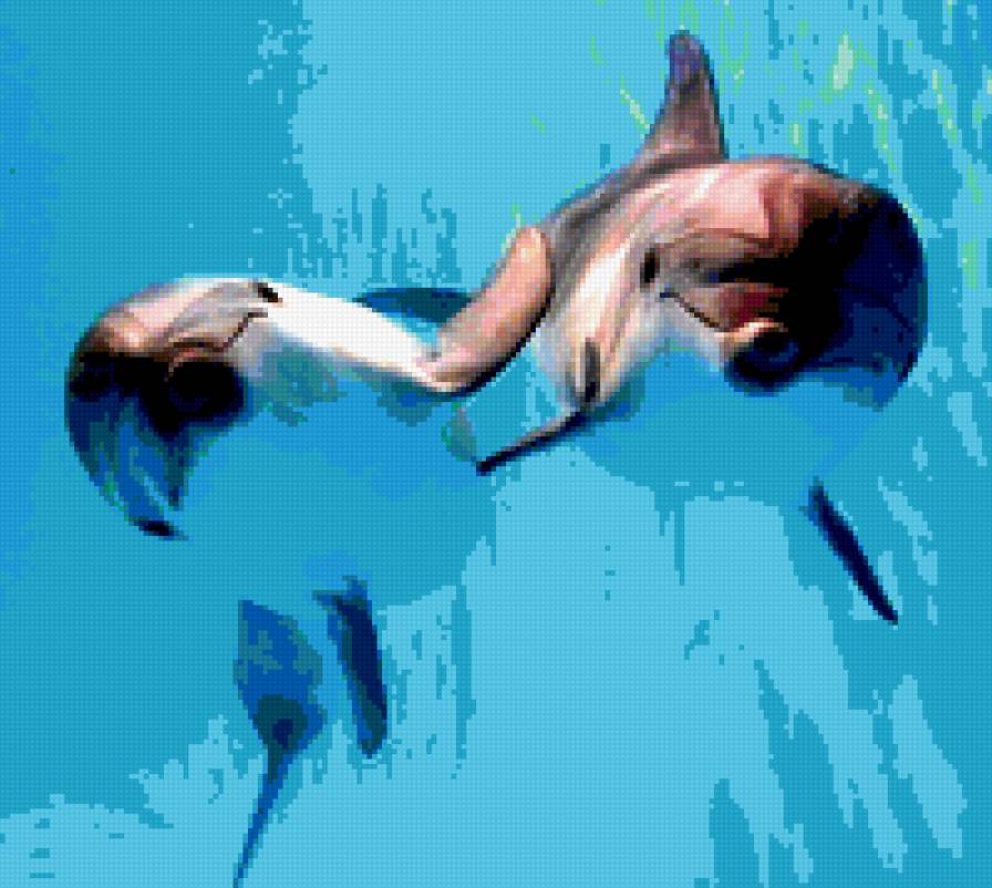 Дельфины - дельфины, море - предпросмотр