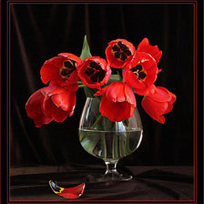 Оригинал схемы вышивки «Алые тюльпаны» (№306181)