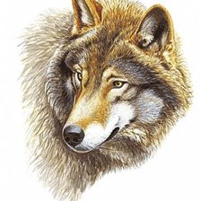 Оригинал схемы вышивки «волк» (№306293)