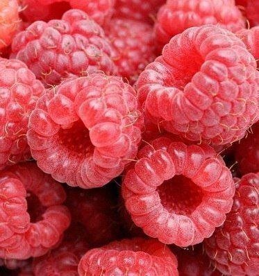 052 - фрукты, ягоды - оригинал