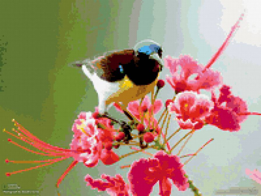 птичка - птицы, цветы, природа - предпросмотр