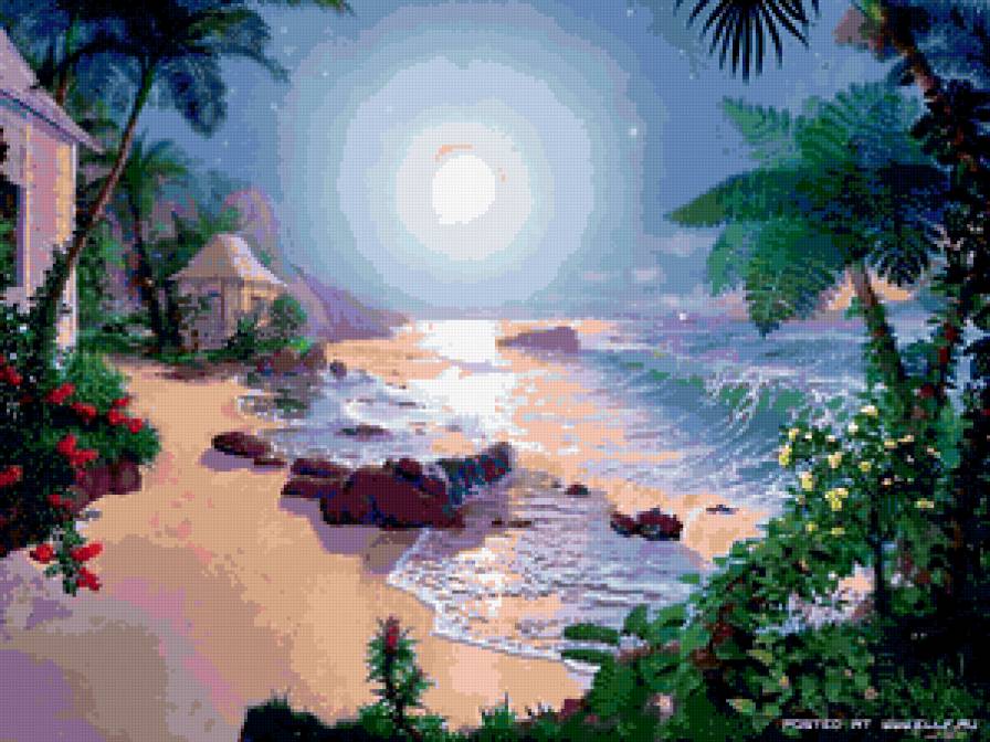 Бенгальский залив: Закат - берег, природа, закат, пальма, море - предпросмотр
