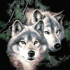 Оригинал схемы вышивки «волки» (№307427)