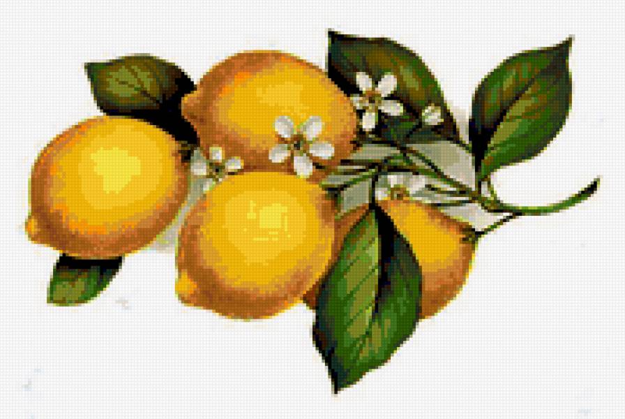 Лимоны - предпросмотр