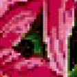 Предпросмотр схемы вышивки «Розовая орхидея» (№308015)