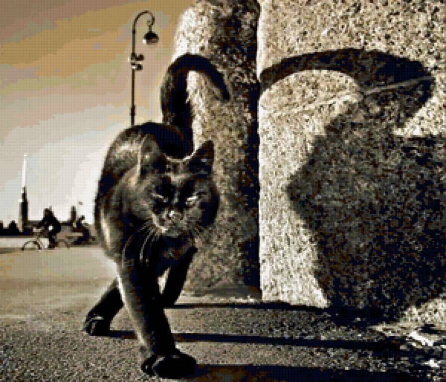 черная кошка - кошка - предпросмотр