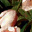 Предпросмотр схемы вышивки «Тюльпаны» (№308377)