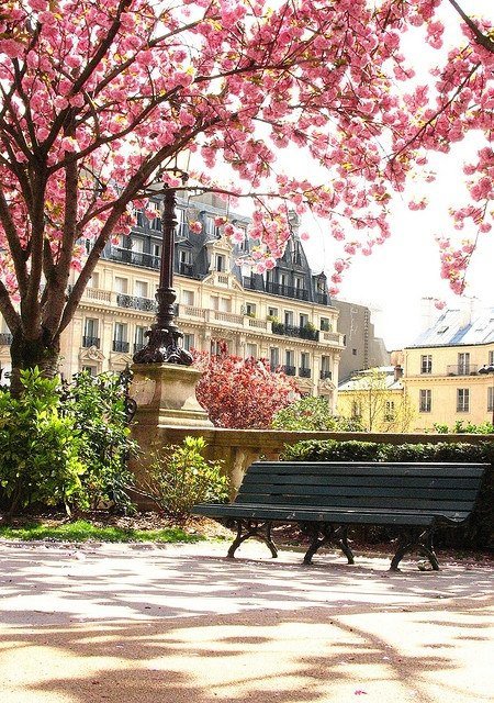 Париж - франция, весна, париж - оригинал
