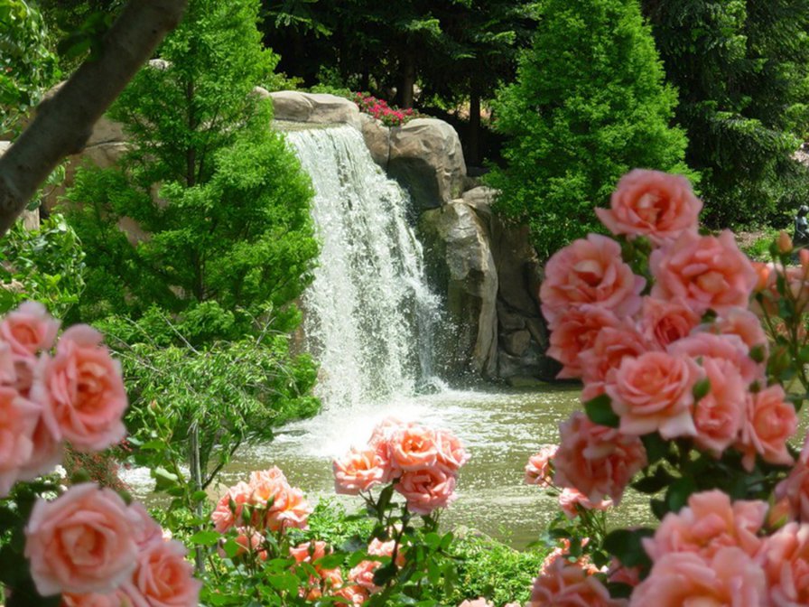 летний пейзаж - лето, розы, природа, река, водопад, вода - оригинал