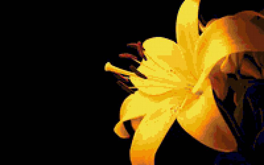 golden flower - flowers - предпросмотр